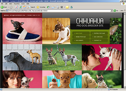 Website Template #26195