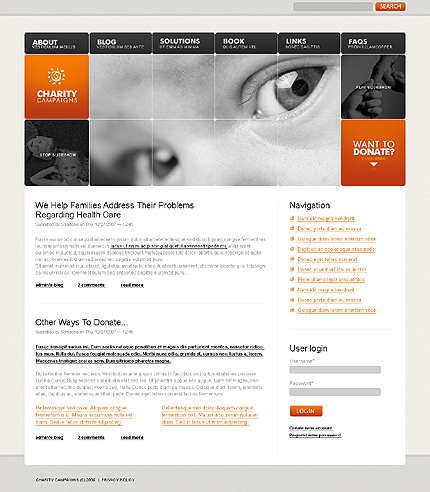 Website Template #26218