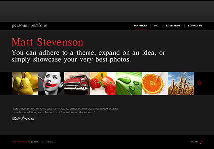 Website Template #26235