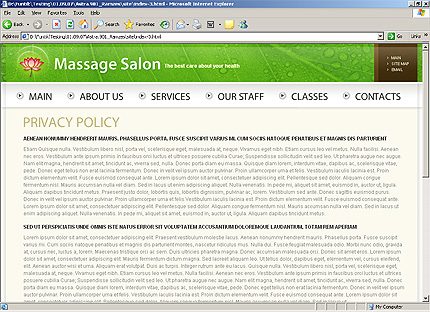 Website Template #26239