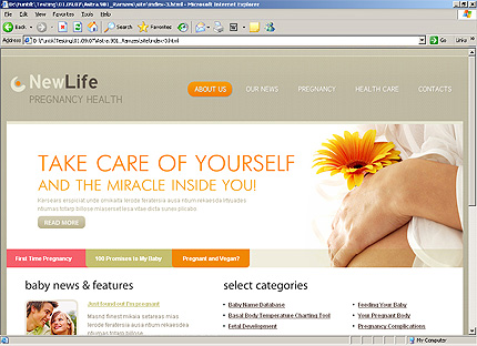 Website Template #26240