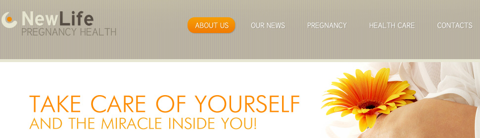 Website Template #26240
