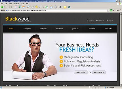 Website Template #26245