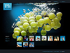 Dynamic SWiSH Site #26263