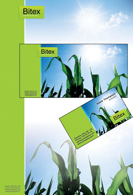 Corporate Identity #26373