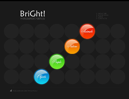 Website Template #26388