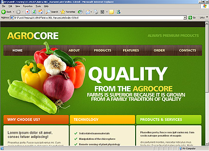 Website Template #26405