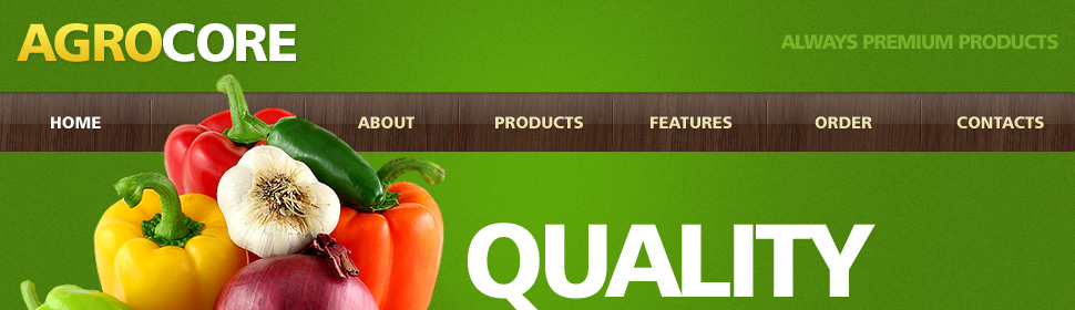 Website Template #26405