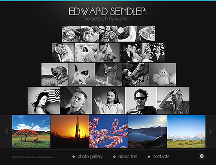 Website Template #26416