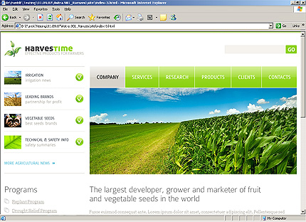Website Template #26436