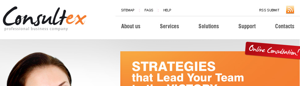 Website Template #26458