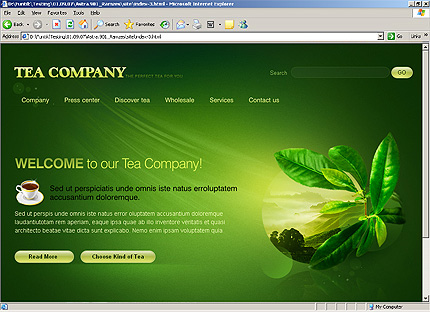 Website Template #26506