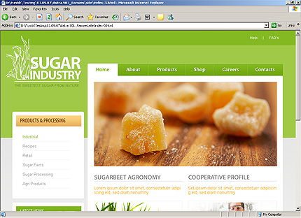 Website Template #26515