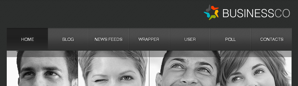 Website Template #26527