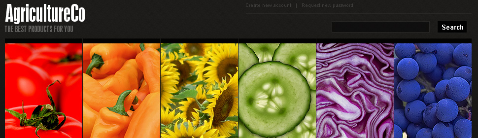 Website Template #26593