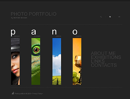 Website Template #26595
