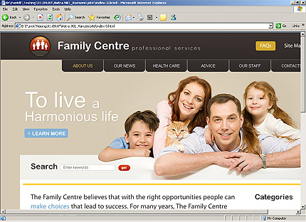 Website Template #26641