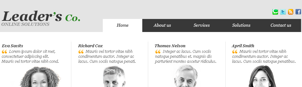 Website Template #26662