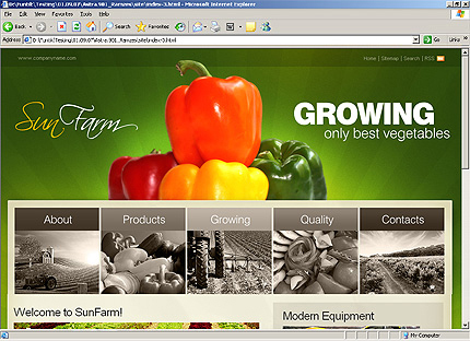 Website Template #26693