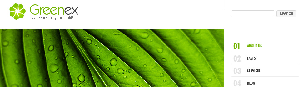 Website Template #26713