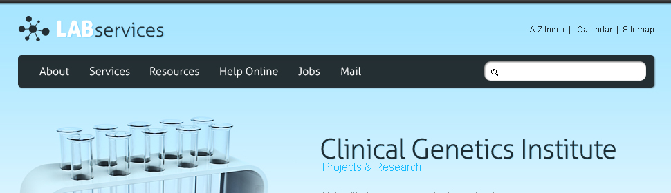 Website Template #26719