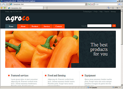 Website Template #26790