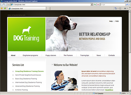 Website Template #26795