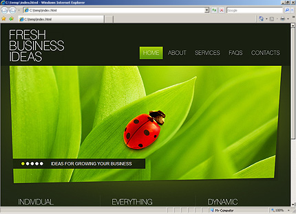 Website Template #26807