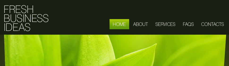 Website Template #26807