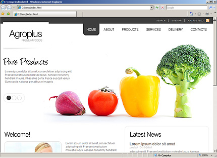 Website Template #26817