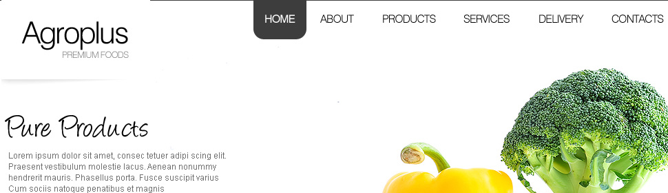 Website Template #26817