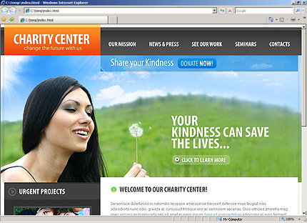Website Template #26858