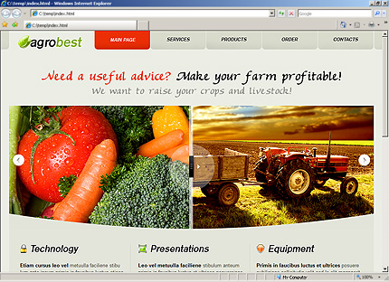 Website Template #26895