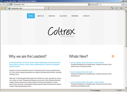 Website Template #26976