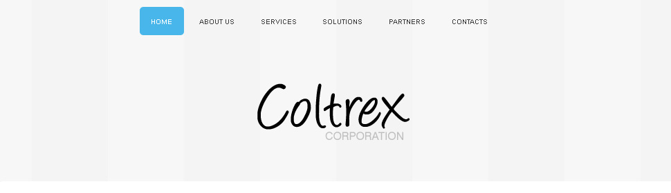 Website Template #26976