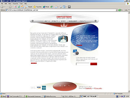 Website Template #2731