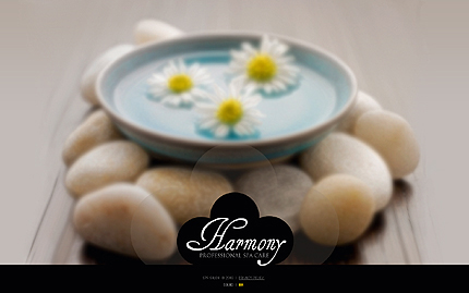 Website Template #27009
