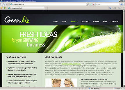 Website Template #27025
