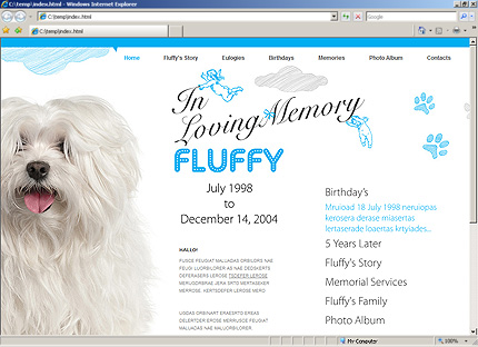 Website Template #27039