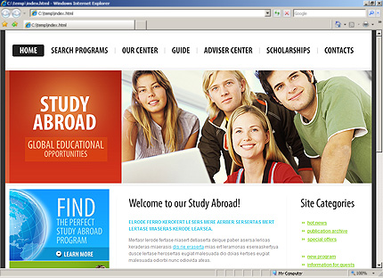Website Template #27064