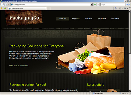 Website Template #27065