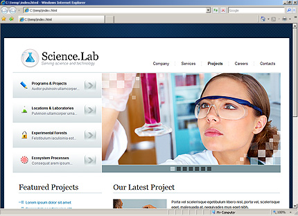 Website Template #27095