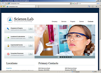 Website Template #27095