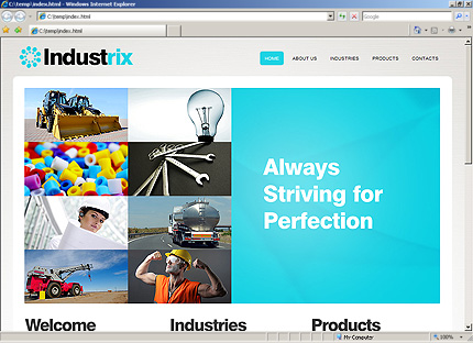 Website Template #27098