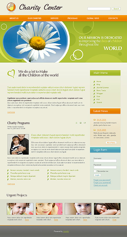 Website Template #27207