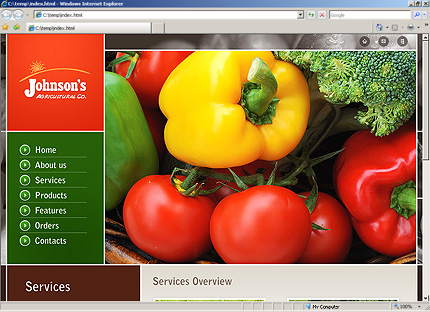 Website Template #27218