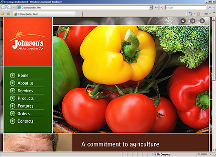 Website Template #27218