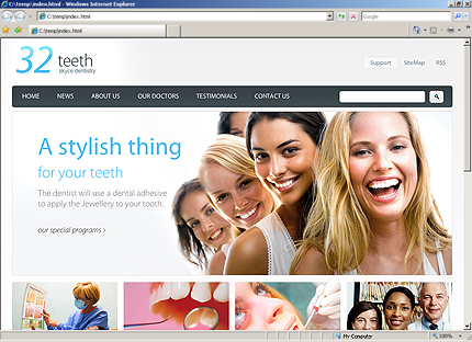 Website Template #27250