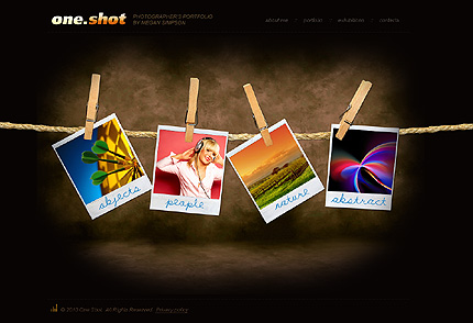 Website Template #27321