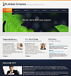 Turnkey Website #27371